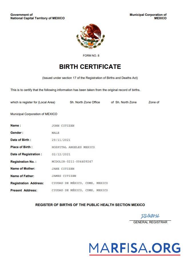 Realistic Mexico birth certificate Word and PDF template